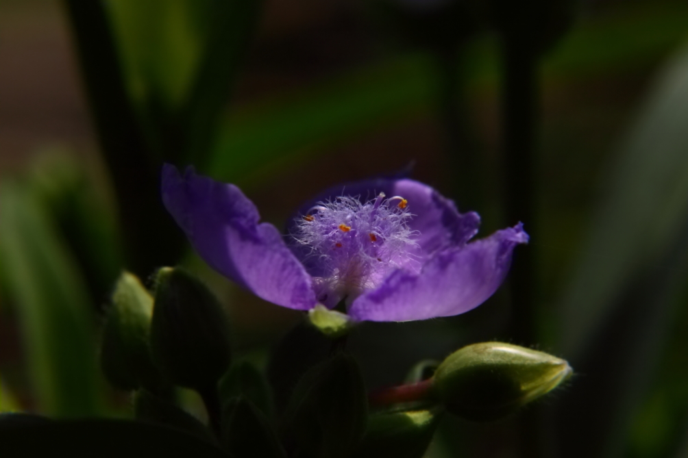 2012 05 27 4499